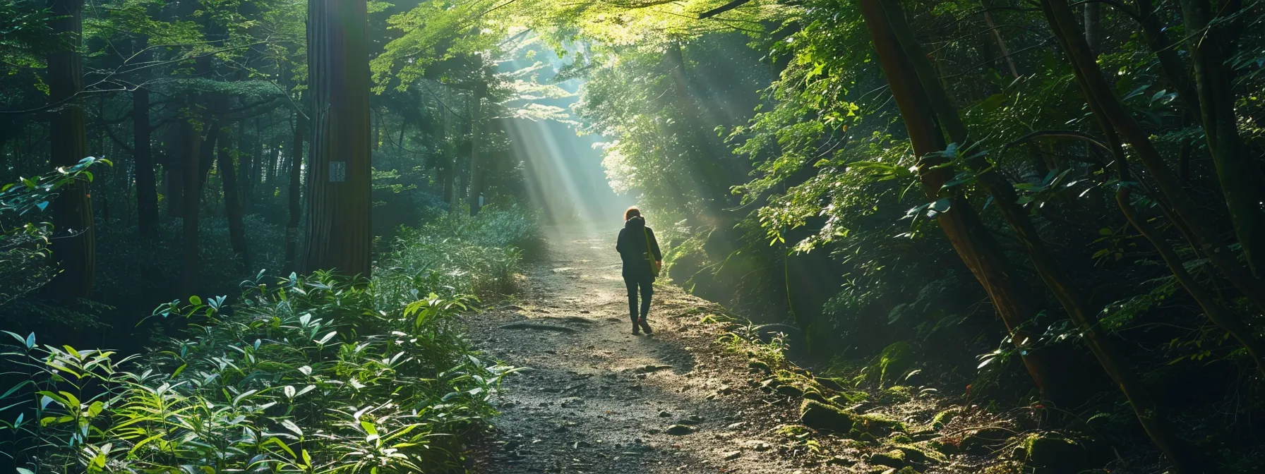 a person walking through a forest path, surrounded by nature and a sense of peace and contentment.