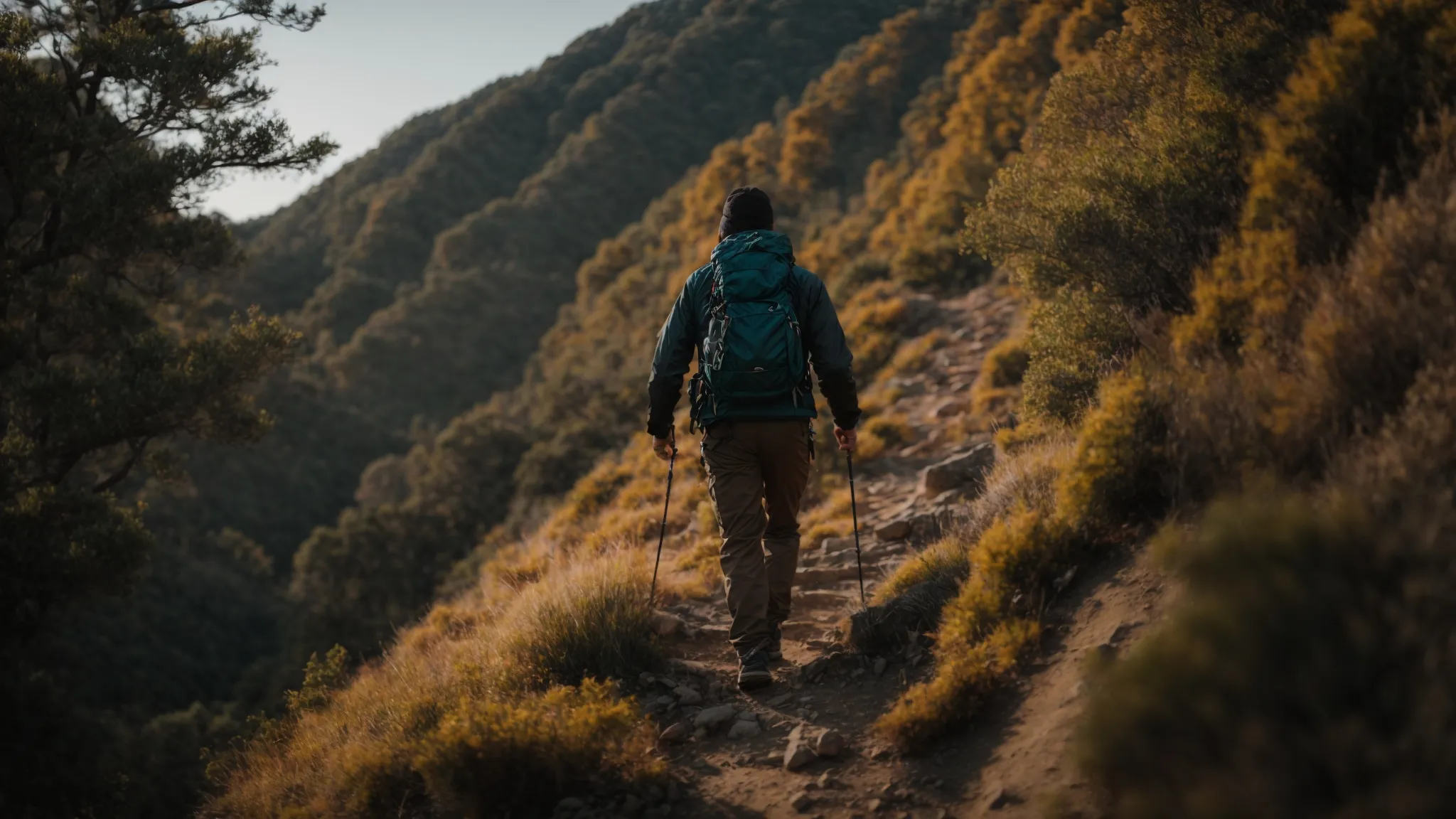 a person climbing a steep mountain trail, looking determined and focused as they overcome obstacles on their journey to success.